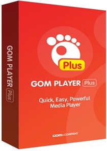GOM Player Plus v2.3.69.5333 Türkçe