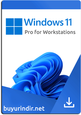 Windows 11 Pro for Workstations Final MSDN Türkçe