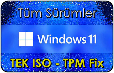 Windows 11 - Tüm Sürümleri İndir - Tek ISO (21H2)