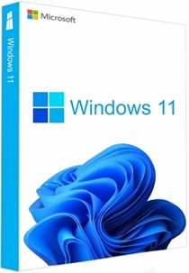 Windows 11 - 22H2 - Tüm Sürümler - Tek DVD - Türkçe