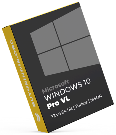 Windows 10 Pro VL (32 / 64 bit) (22H2)